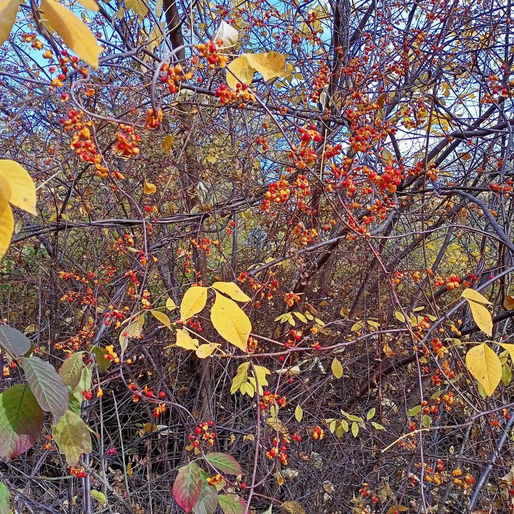 Photograph by Анна Анна