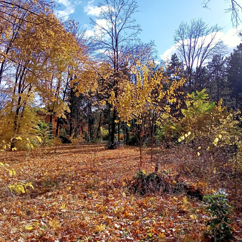 Photograph by Анна Анна