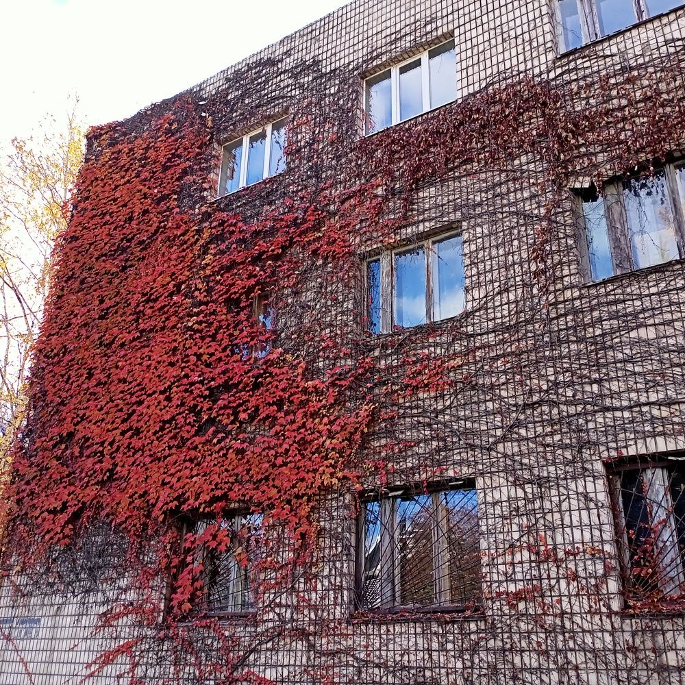 Photo #6658234