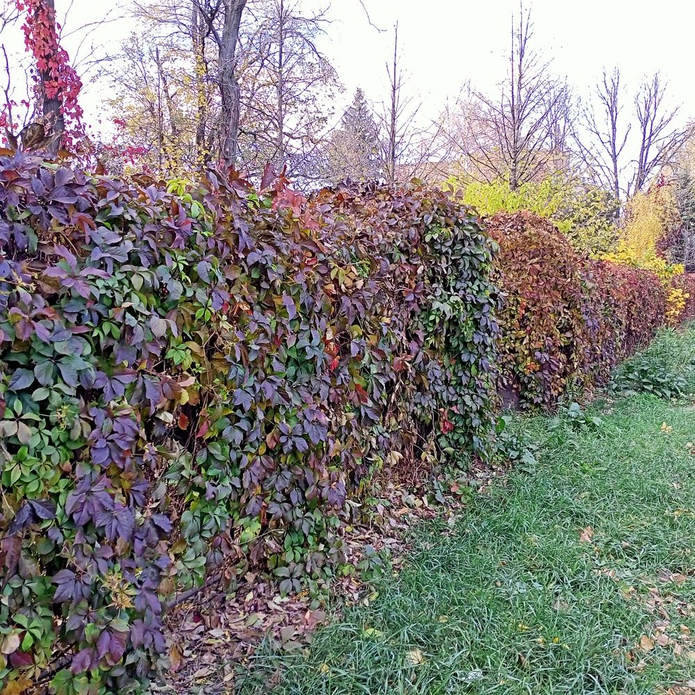 Photograph by Анна Анна