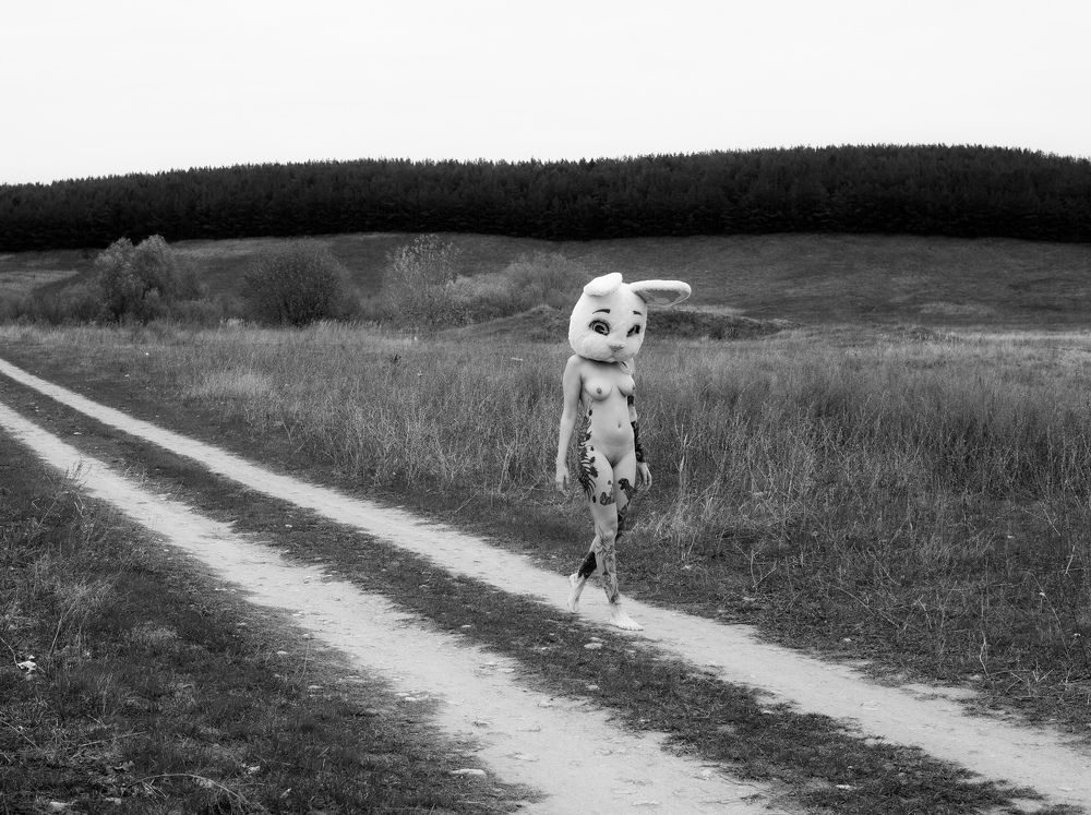 Photograph by Жозе Де Оливейра