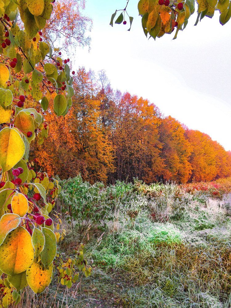 Photograph by Александр Разумов