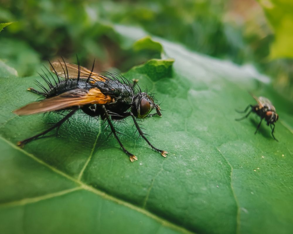 Фотография автора Дмитрий Деревянко
