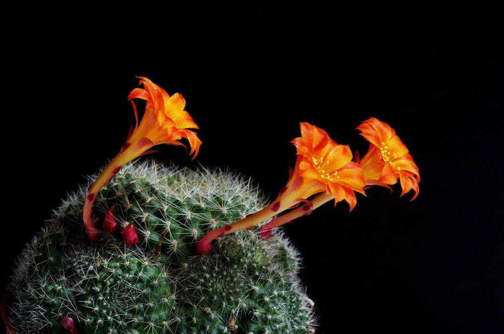 Photograph by Alexander Mishuris