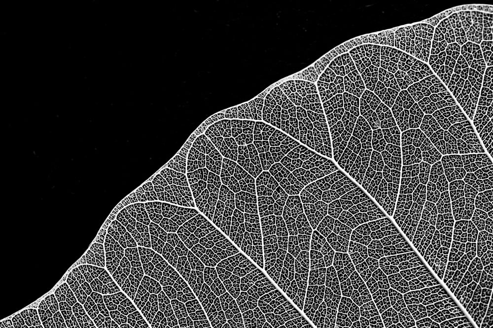 Photograph by Alexander Mishuris