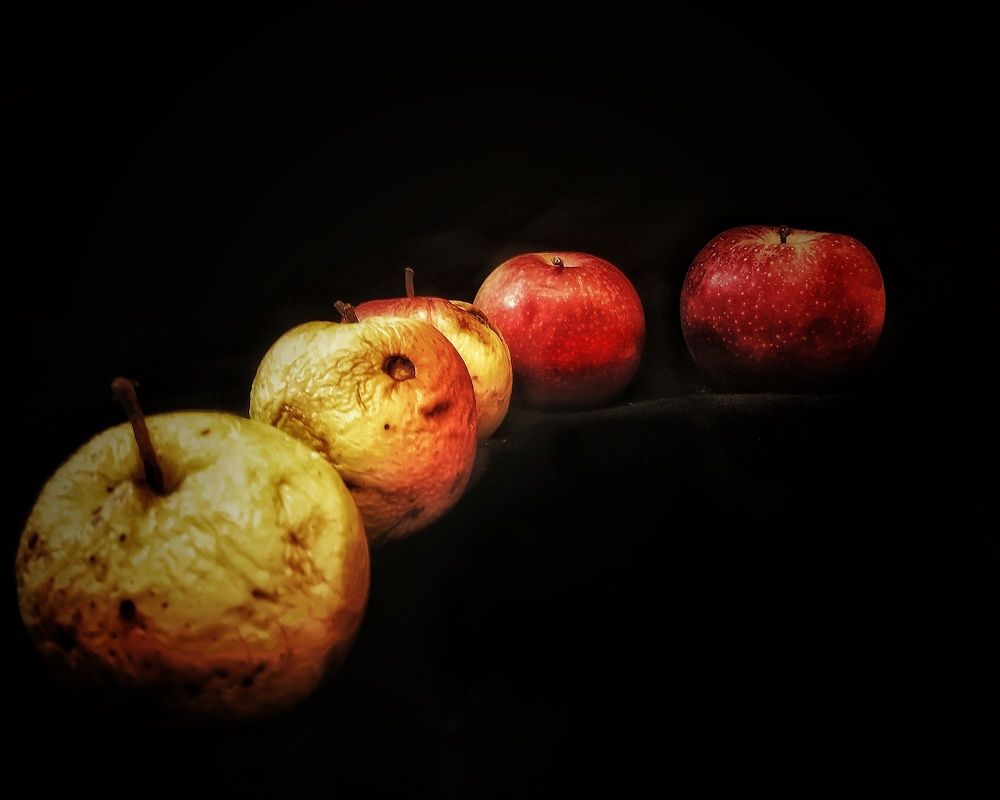 Photograph by Дайана