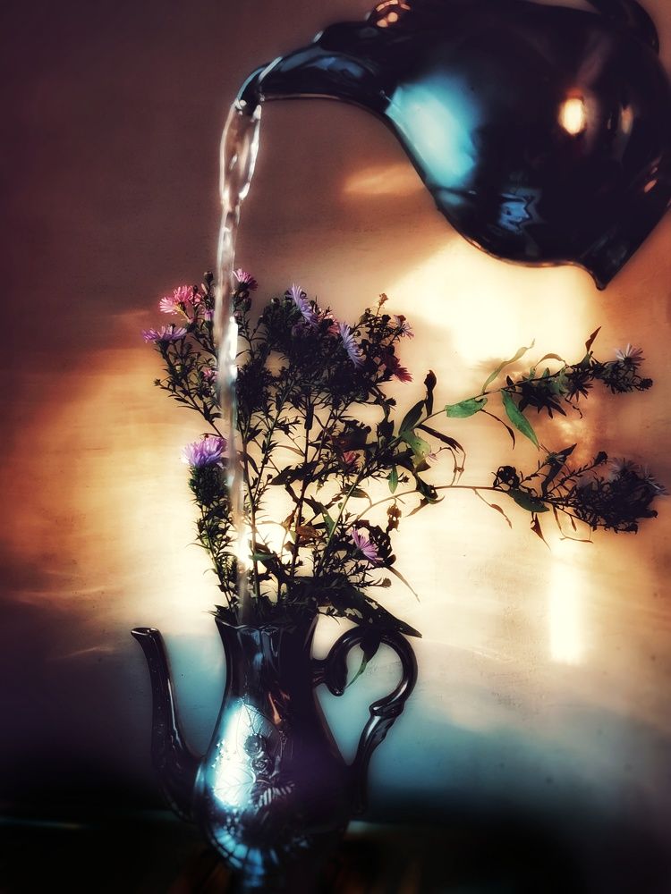 Photograph by Дайана