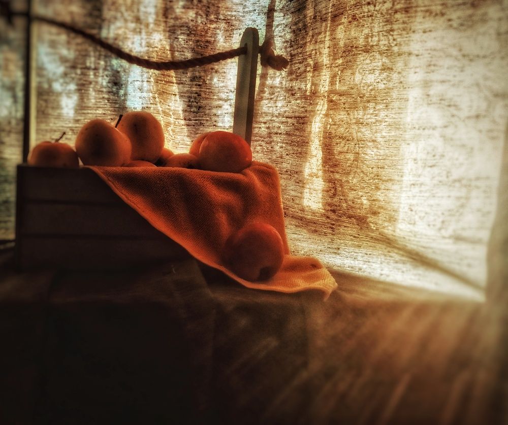 Photograph by Дайана