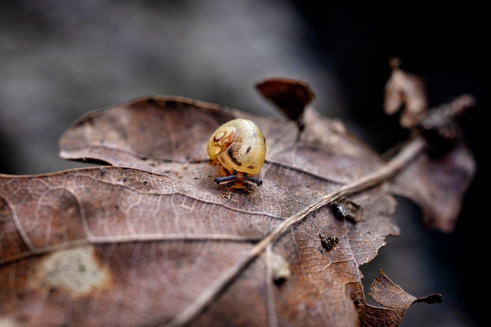 Photograph by Alexander Mishuris