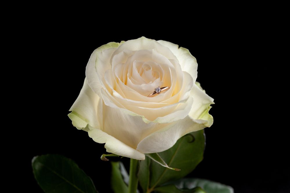 Фотография автора Анатолий Гарин