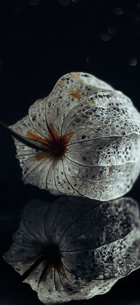 Photograph by Галина Ефремова