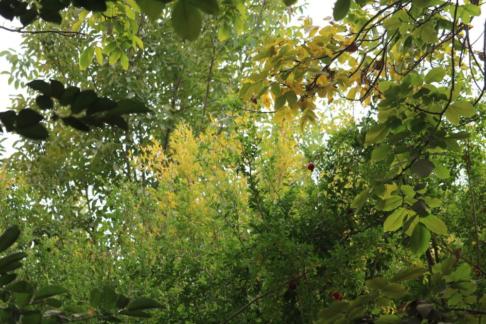 Photograph by Akvan Babak