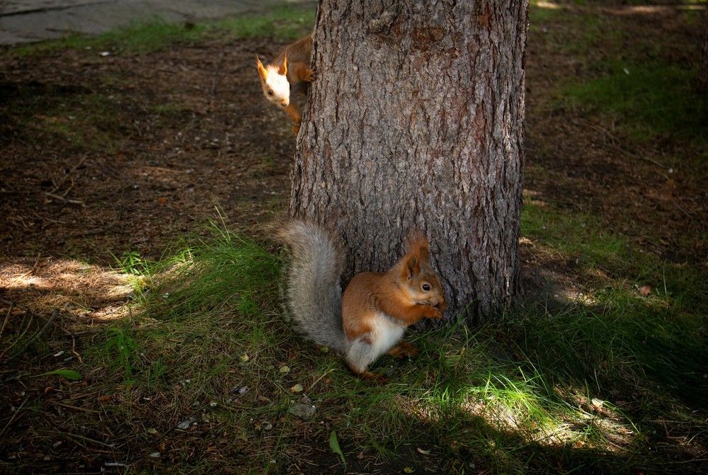 Photograph by Сергей Захаров