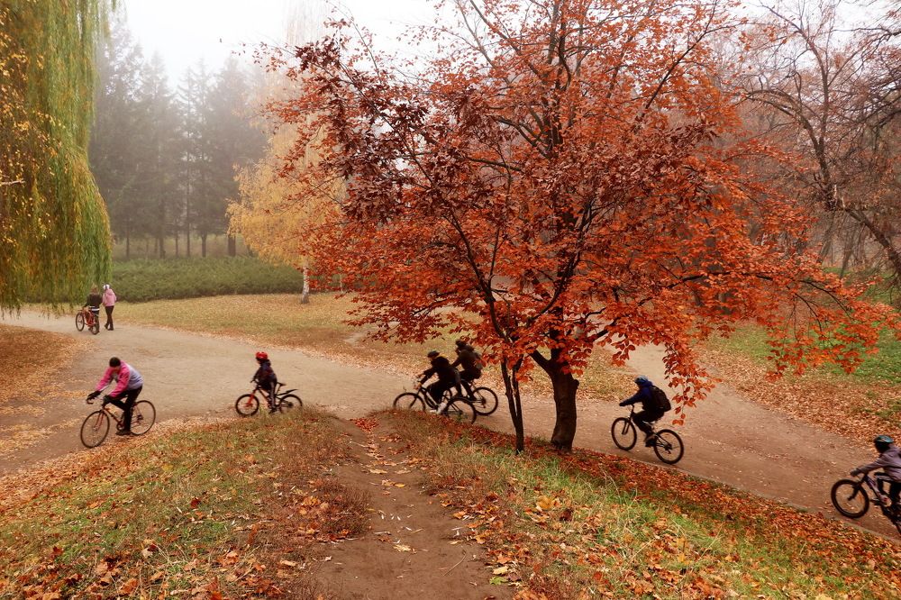 Photograph by Владимир Подкуйко