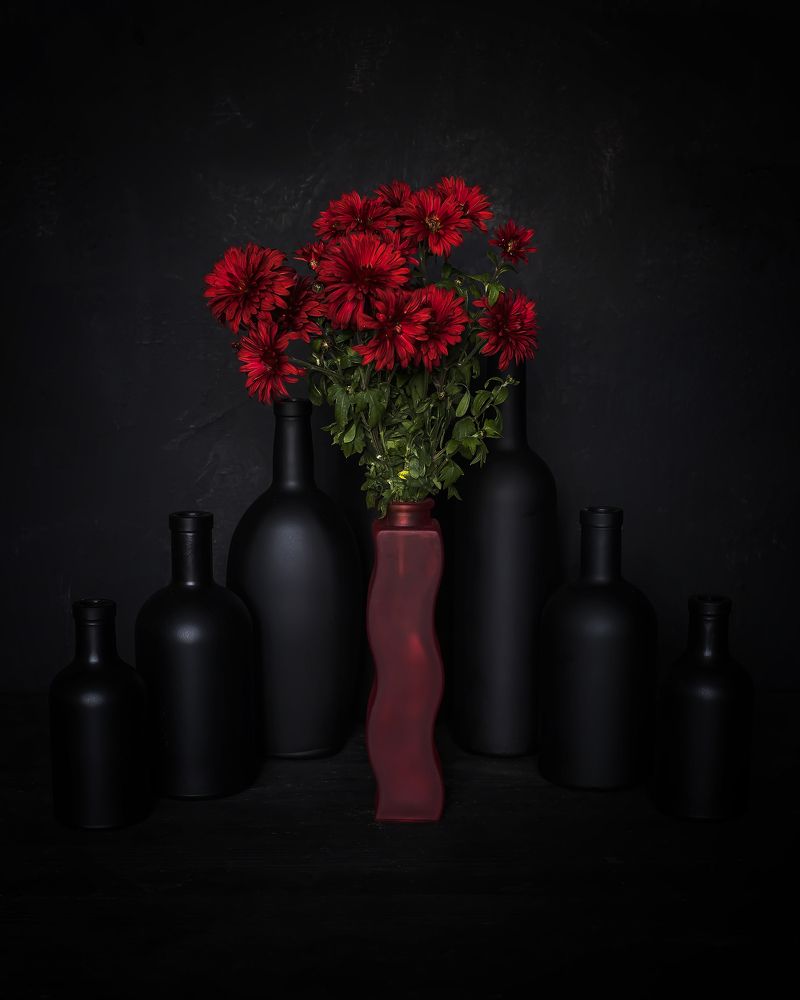 the last autumn flowers ...