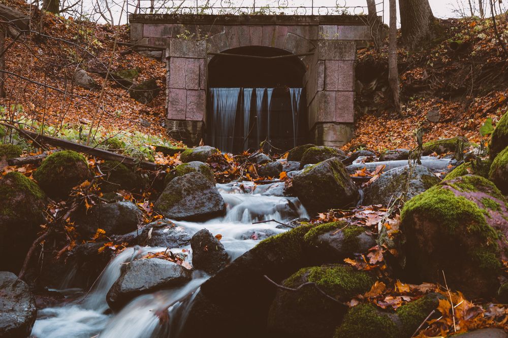 Photograph by Дмитрий Малышев