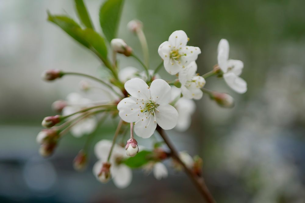 Photograph by Иван Скорик