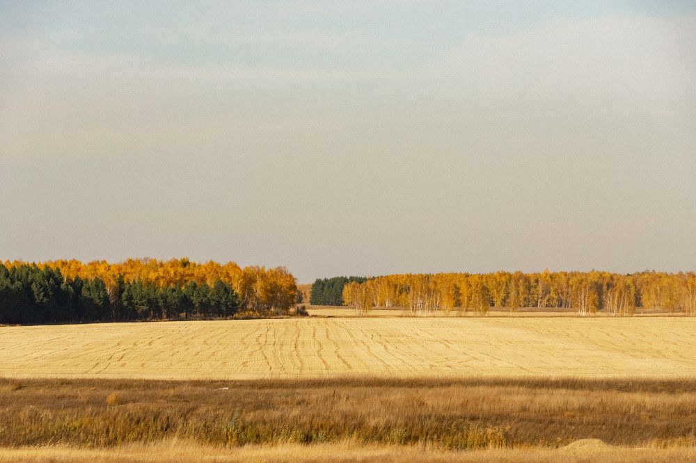 Photograph by Dina Abubakirova