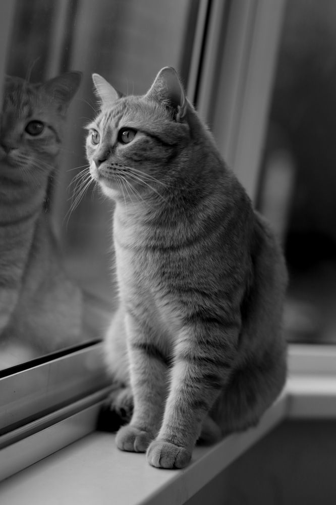 Photograph by Константин Лагоденко