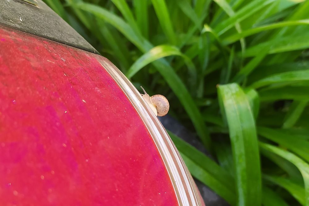 Photograph by Иван Скорик