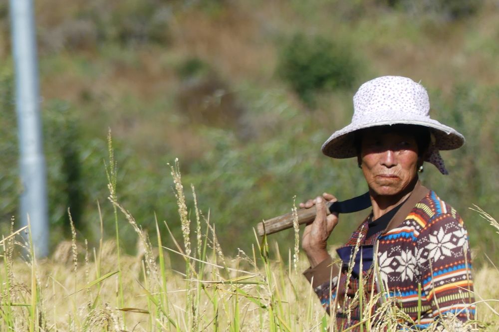 Photograph by Rinzin Dorjee