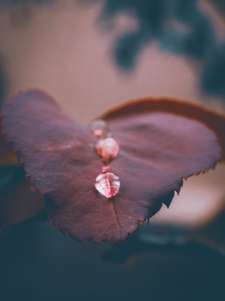 Photograph by SPANDAN DAS