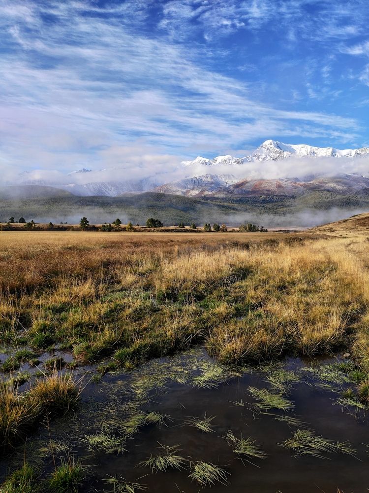 Photograph by Максим Савватеев