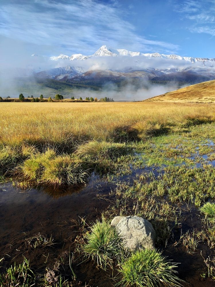 Photograph by Максим Савватеев