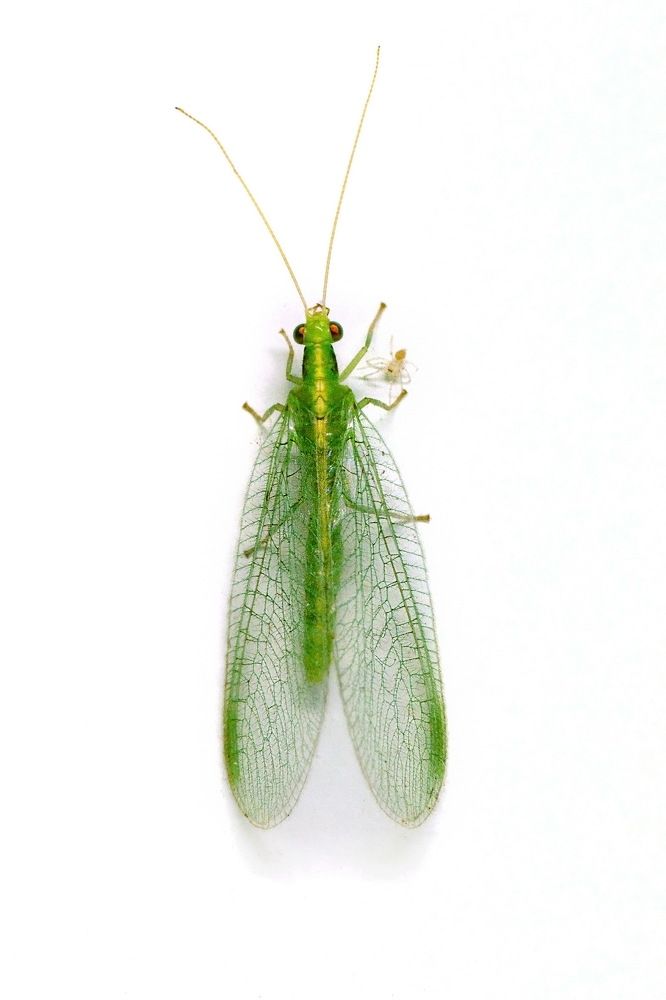 Photograph by Валерий Афанасьев