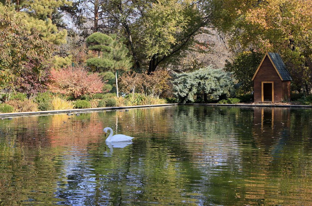 Photograph by Аля Портных