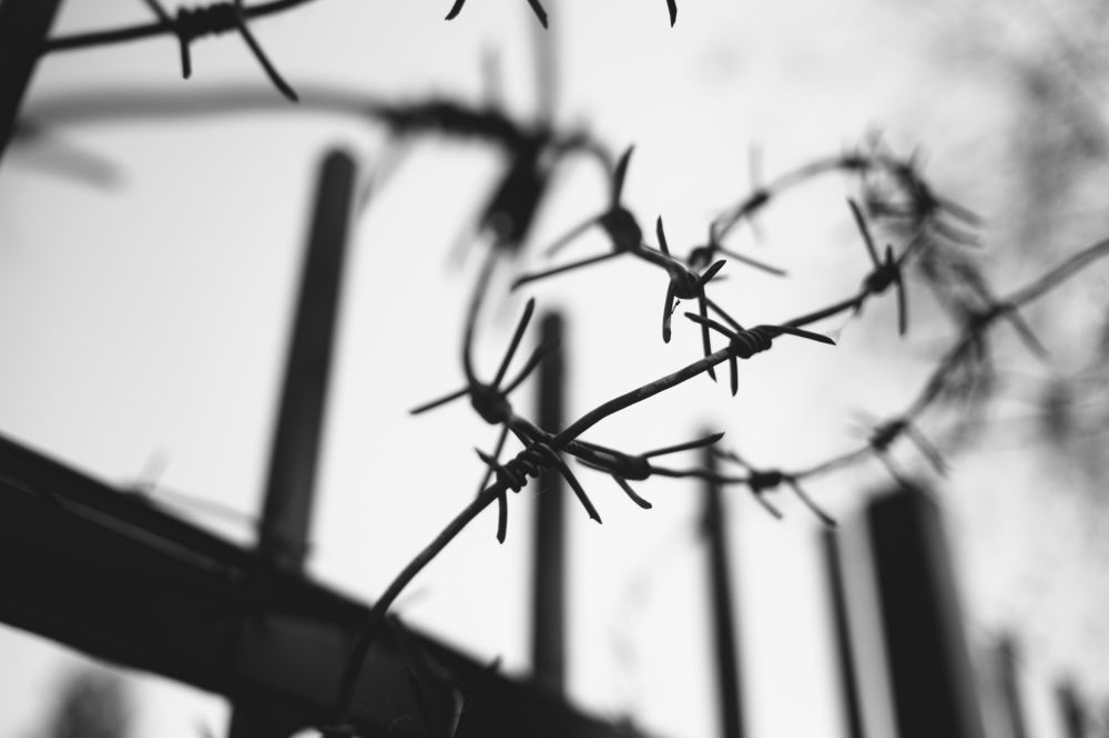 Photograph by Егор Гардин