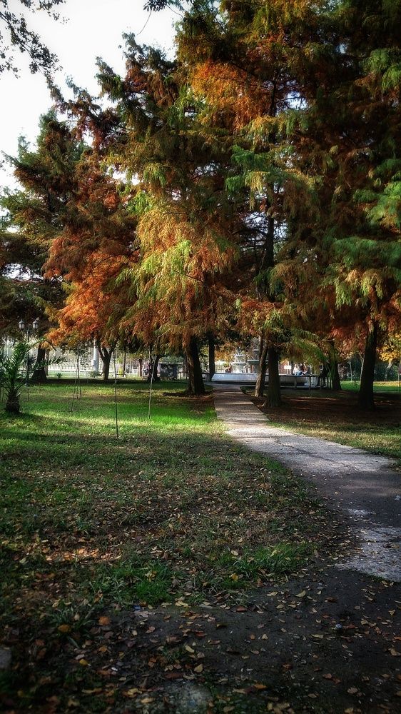 Photograph by yousef z shima