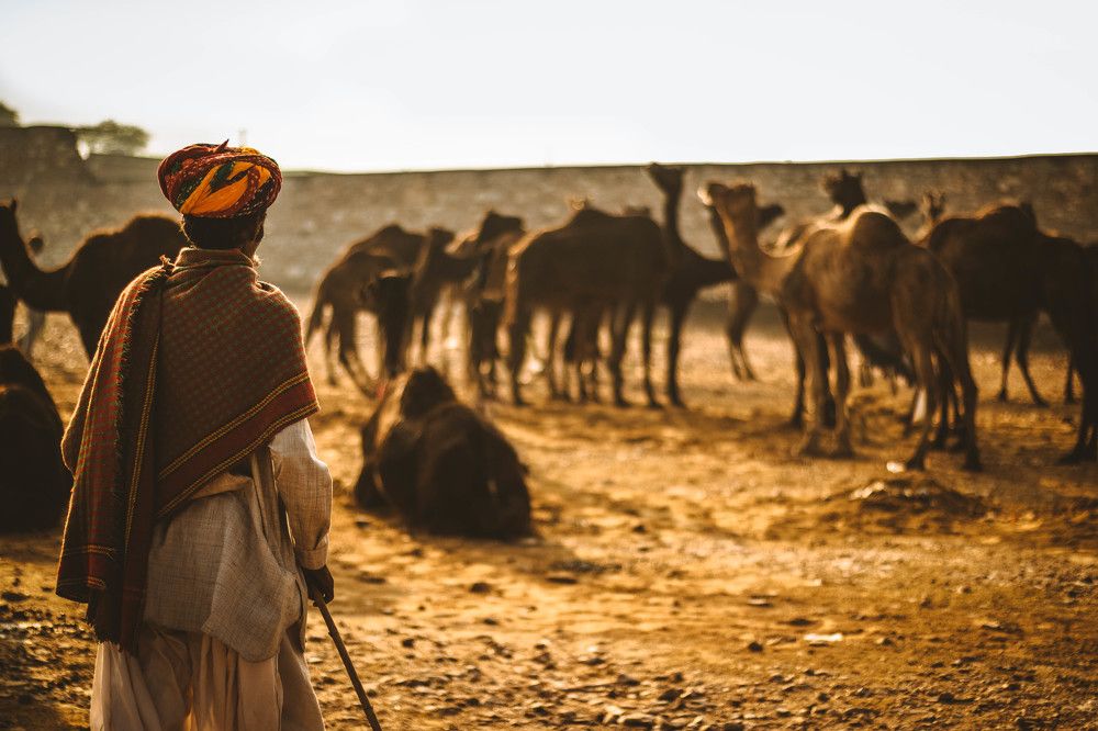 Photograph by Siddharth Vikram