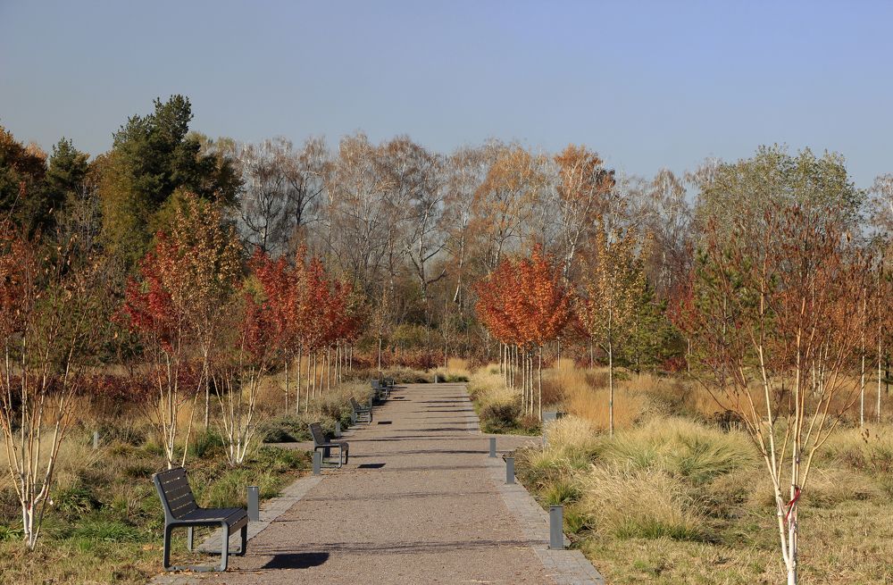 Photograph by Аля Портных