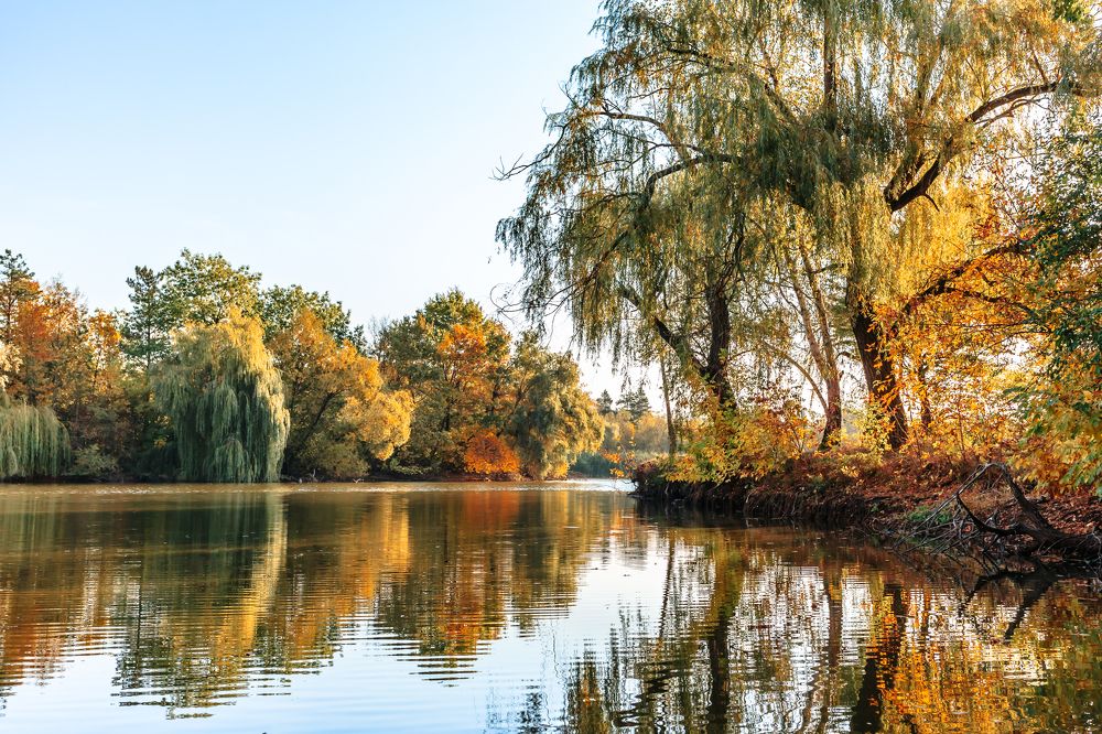 Photograph by Андрей Иордан