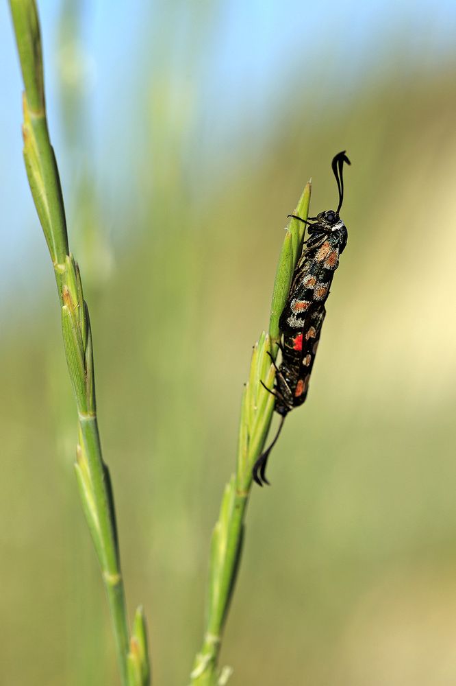 Photograph by Ángel Ros