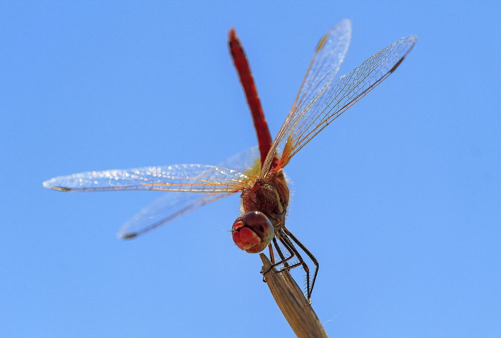 Photograph by Ángel Ros