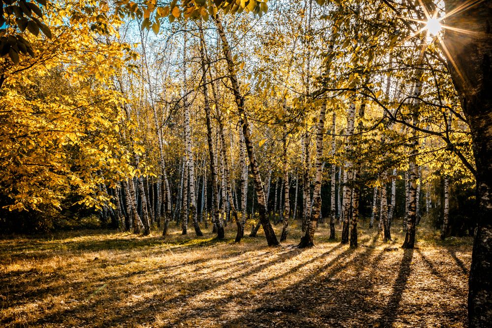 Photograph by Андрей Иордан