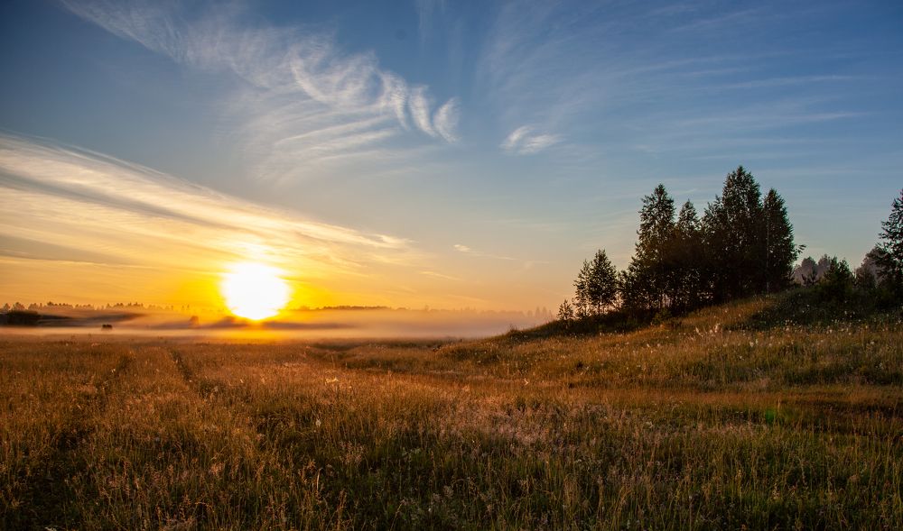 Photograph by Владимир Андреев