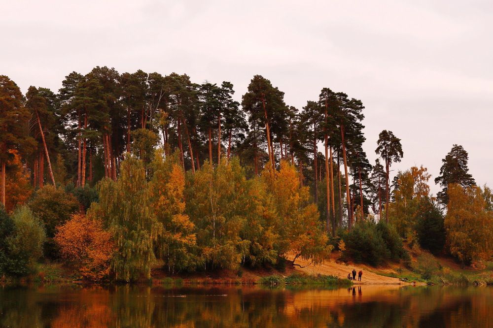 Photograph by Константин Лагоденко