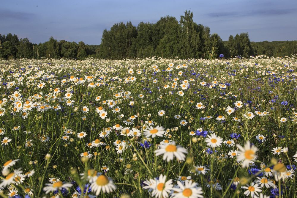 Photograph by Tatiana