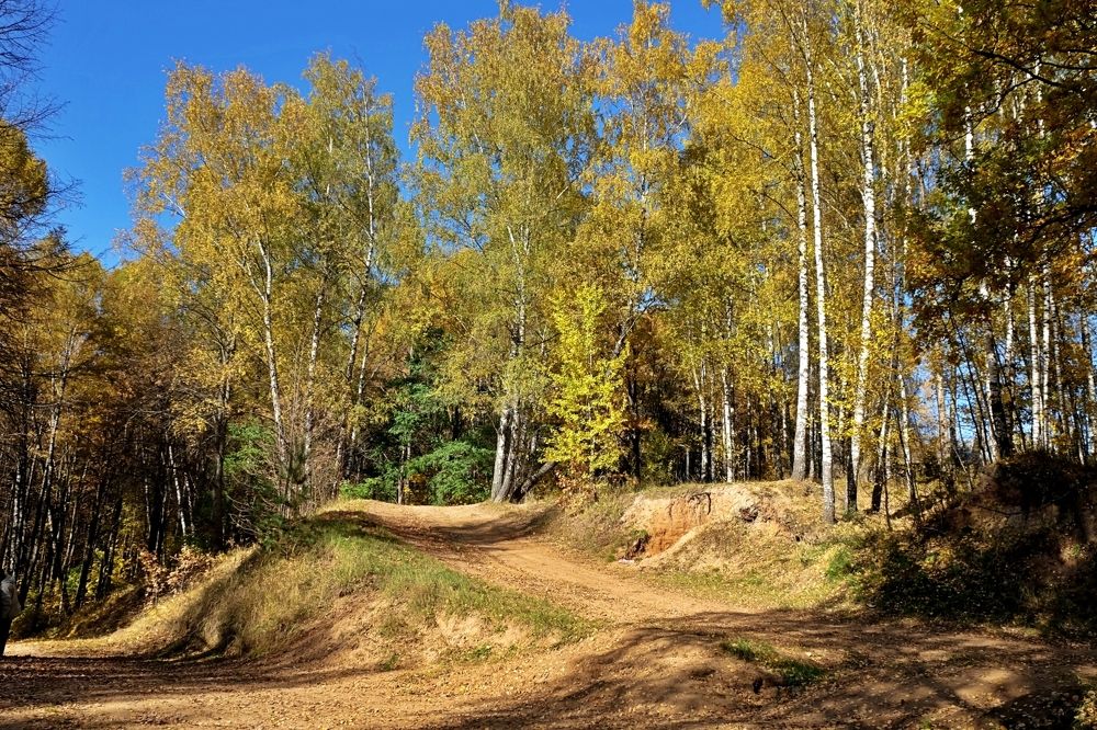 Солнечные тропки