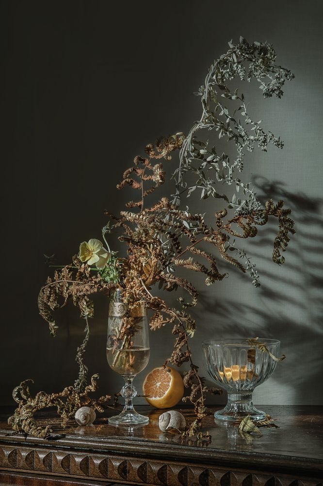 Фотография автора Анна Петина