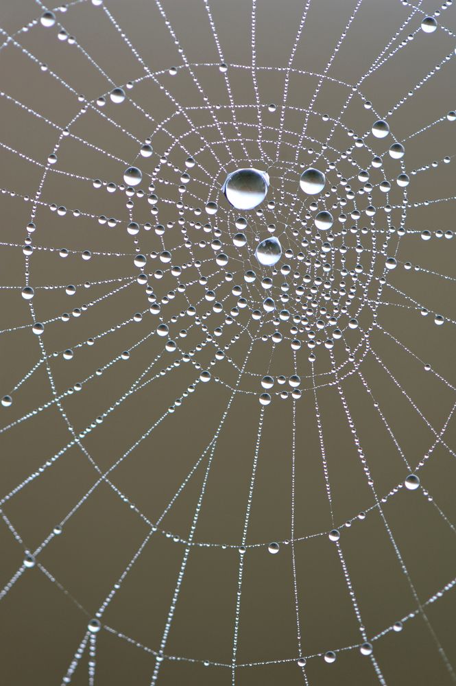 Бездонный лабиринт.