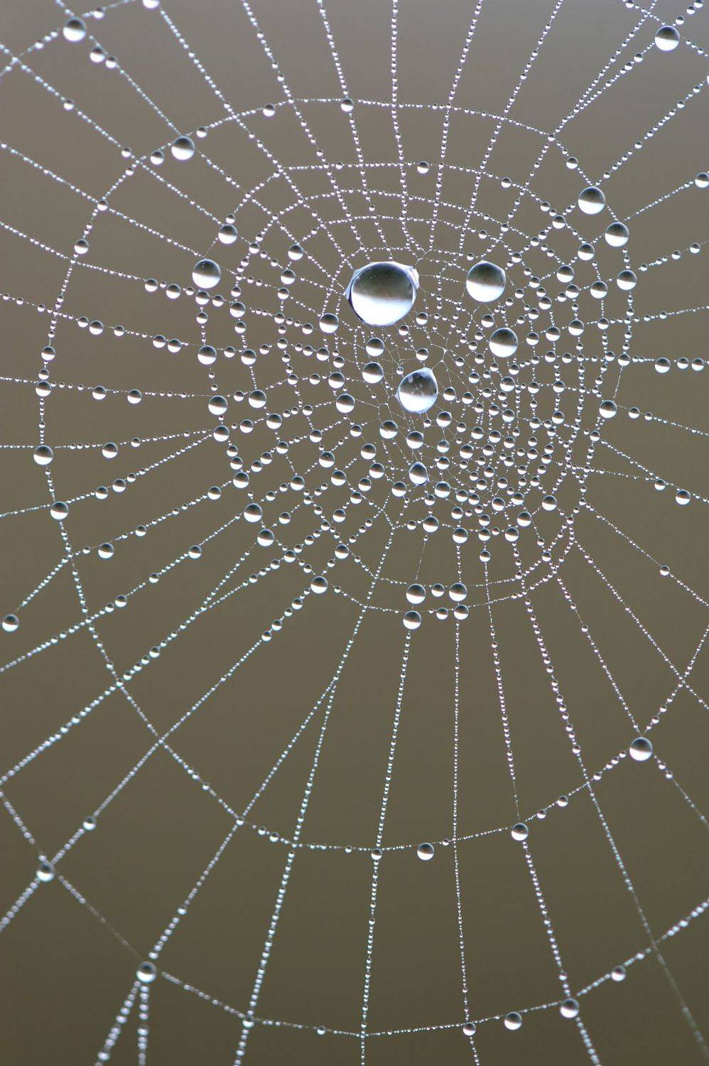 Бездонный лабиринт.