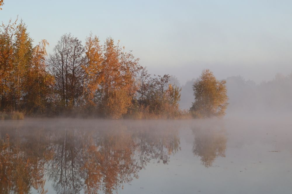 Photograph by Светлана Богомолова