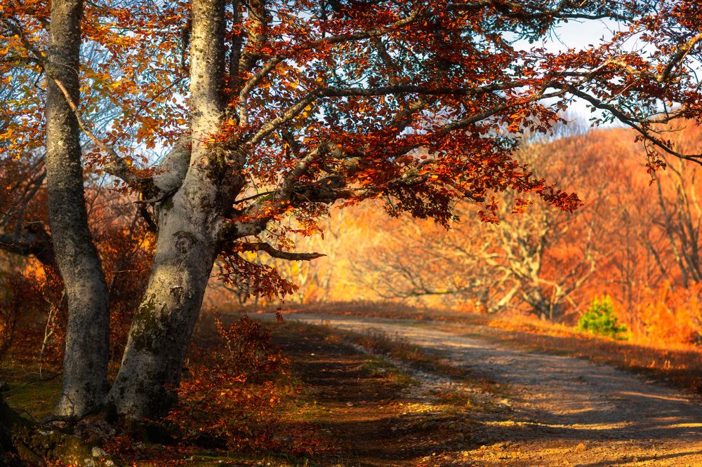 Photograph by Сергей Абашкин