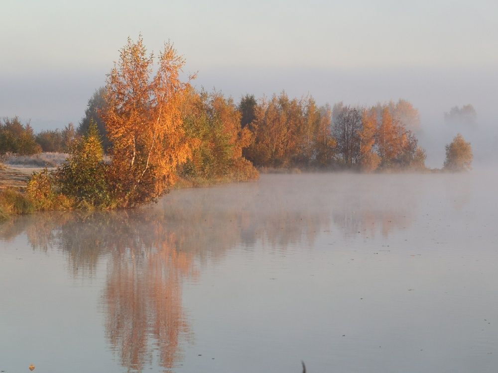 Photograph by Светлана Богомолова