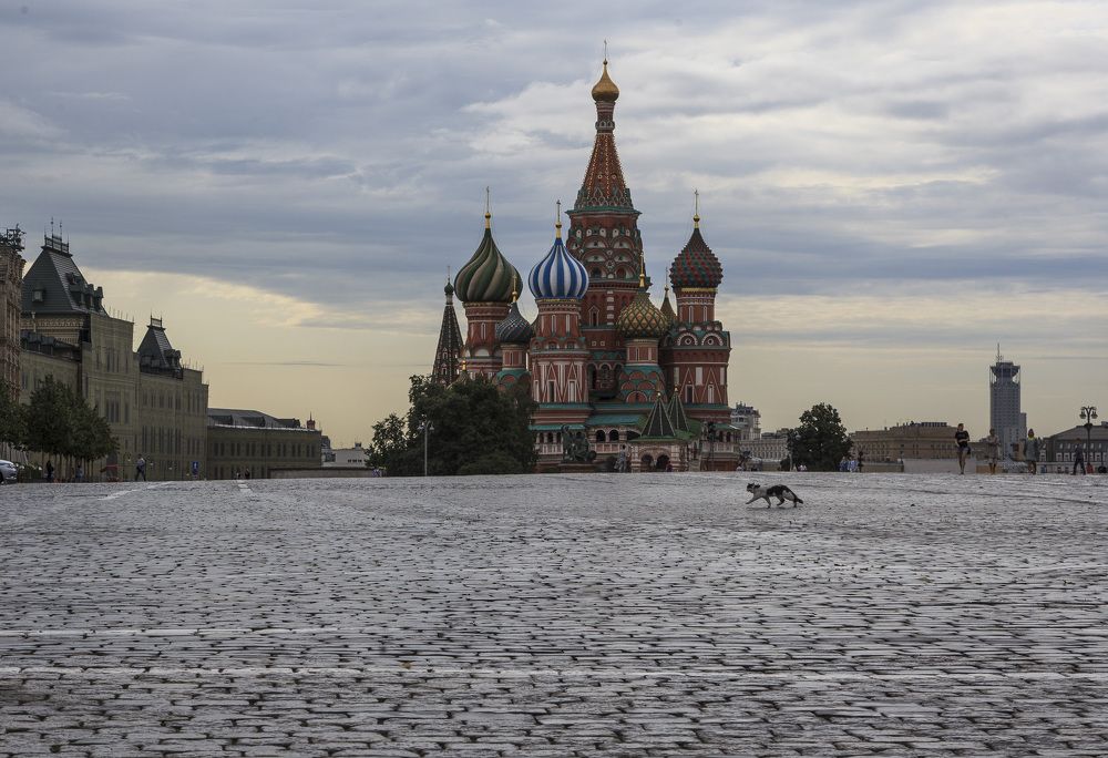 Photograph by Tatiana