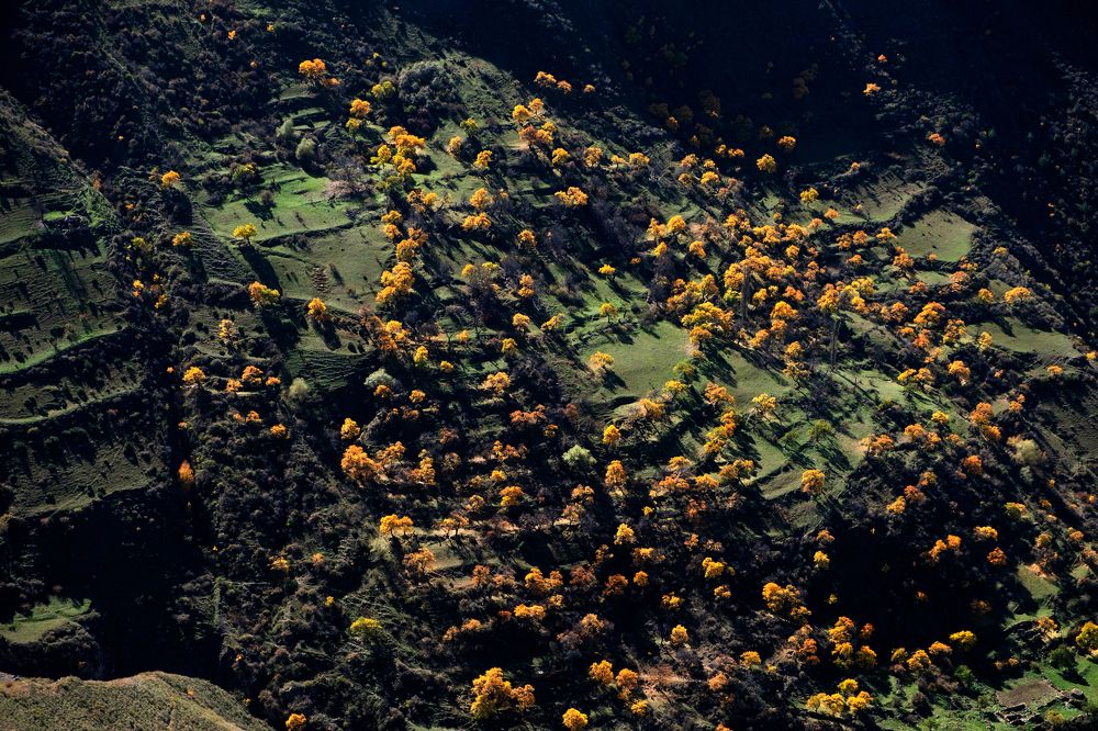 Photograph by Михаил Серебренников